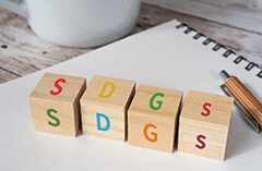 SGDs関連商品
